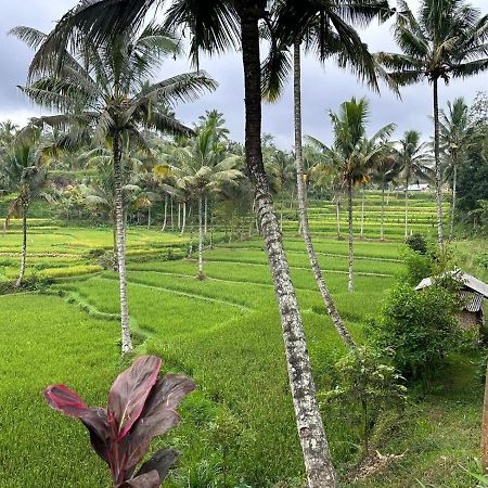 Mysha Guest House-Lombok Тетебату Экстерьер фото