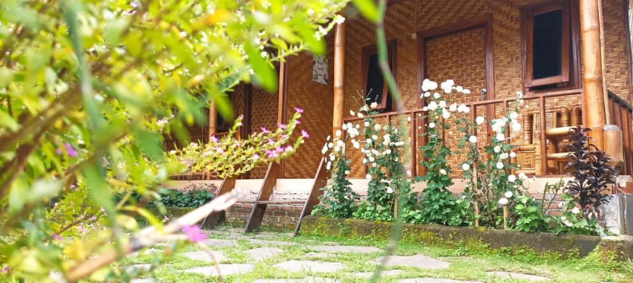 Mysha Guest House-Lombok Тетебату Экстерьер фото