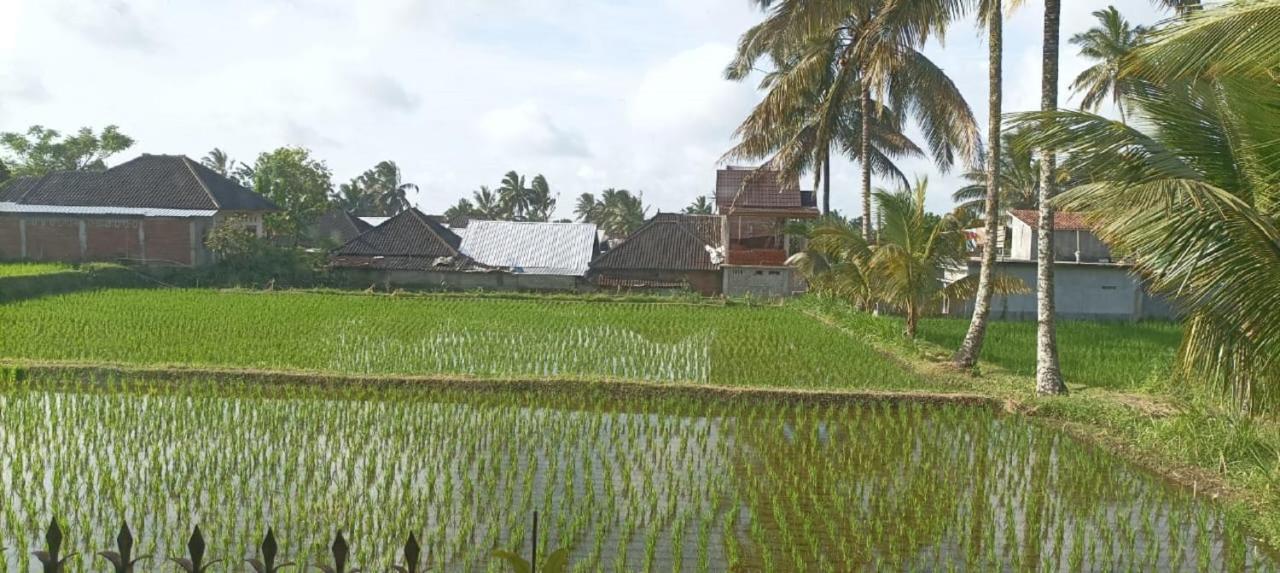 Mysha Guest House-Lombok Тетебату Экстерьер фото