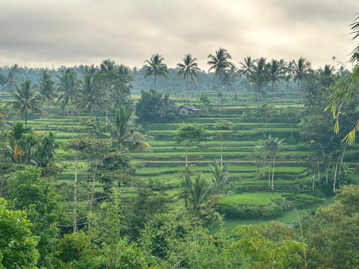 Mysha Guest House-Lombok Тетебату Экстерьер фото