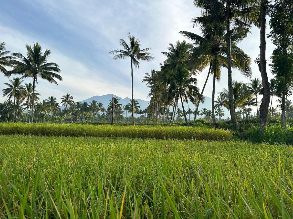 Mysha Guest House-Lombok Тетебату Экстерьер фото