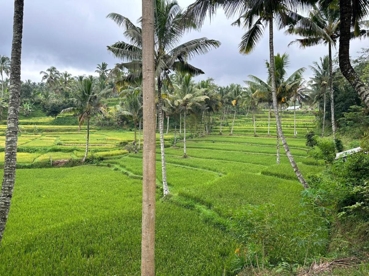 Mysha Guest House-Lombok Тетебату Экстерьер фото